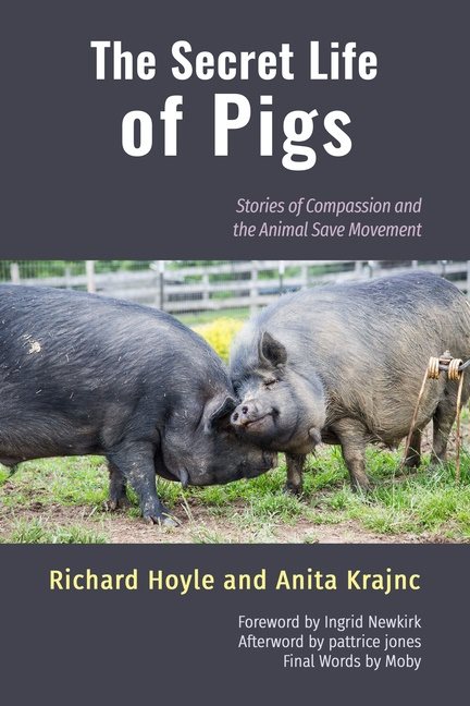 Secret Life Of Pigs