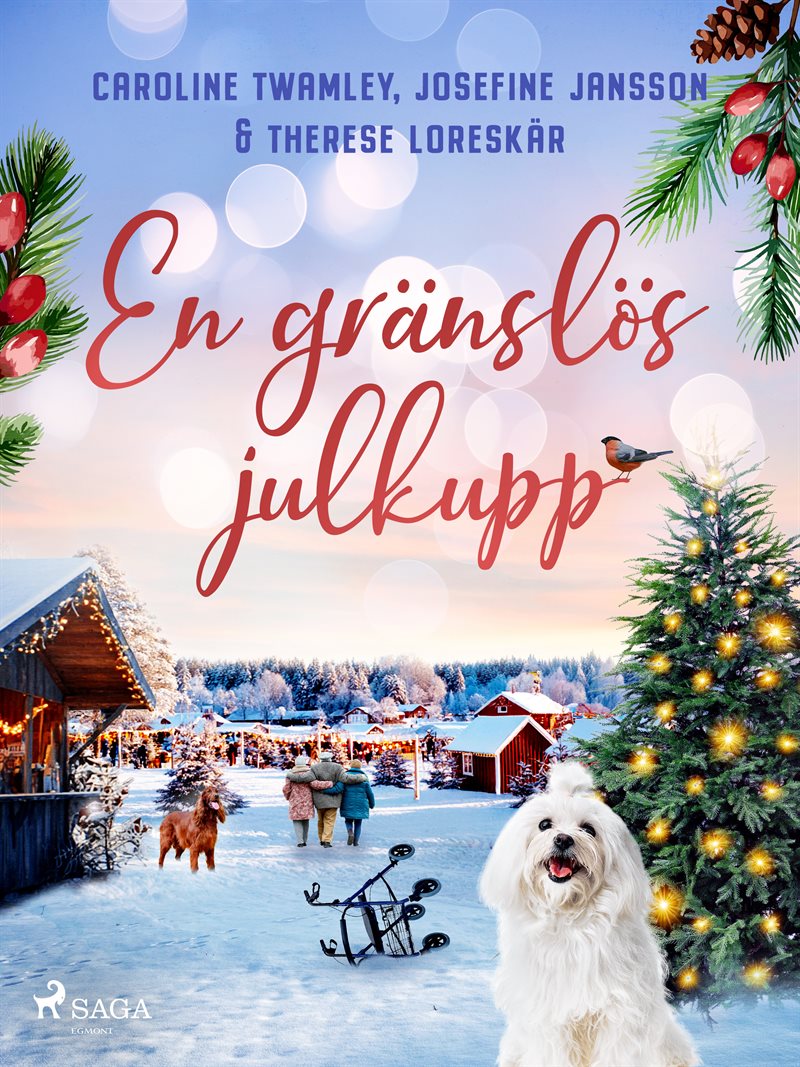 En gränslös julkupp