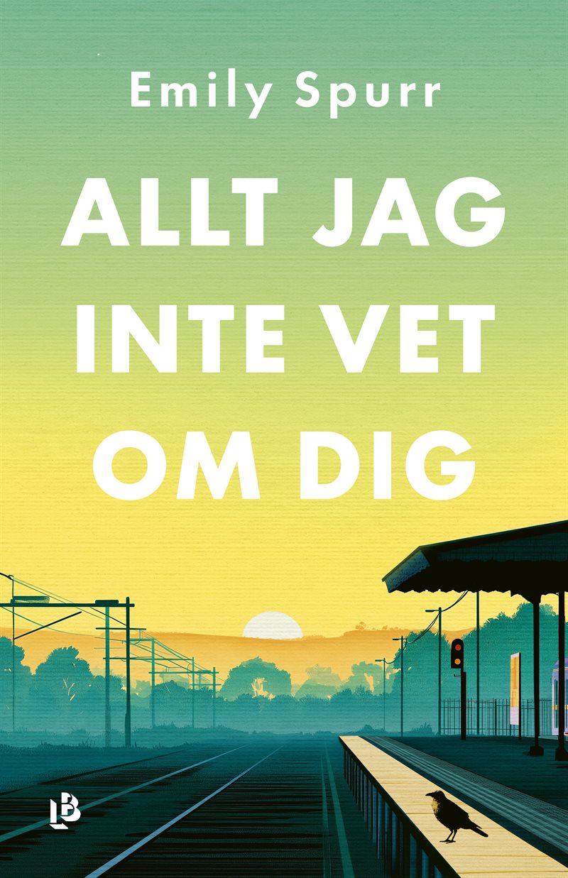 Allt jag inte vet om dig
