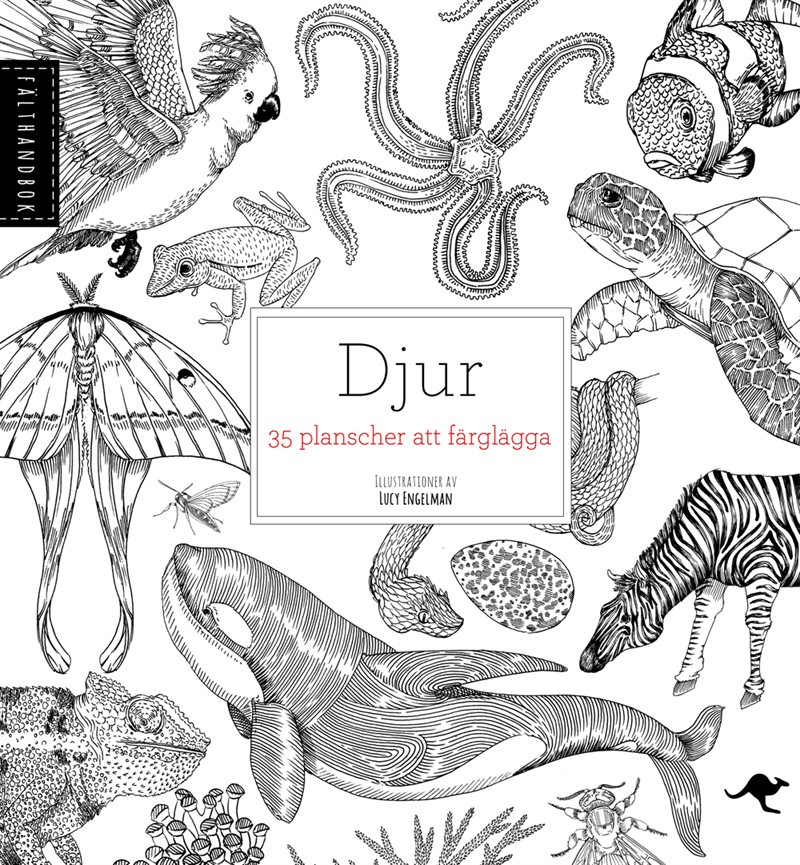 Djur : 35 planscher att färglägga