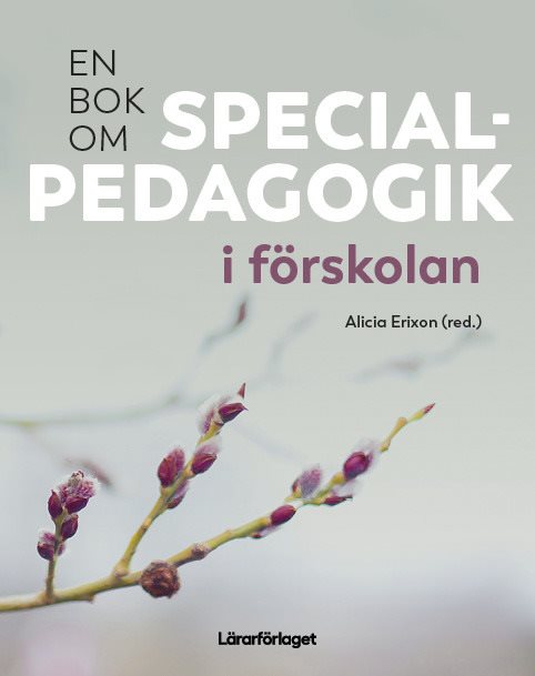 En bok om specialpedagogik i förskolan