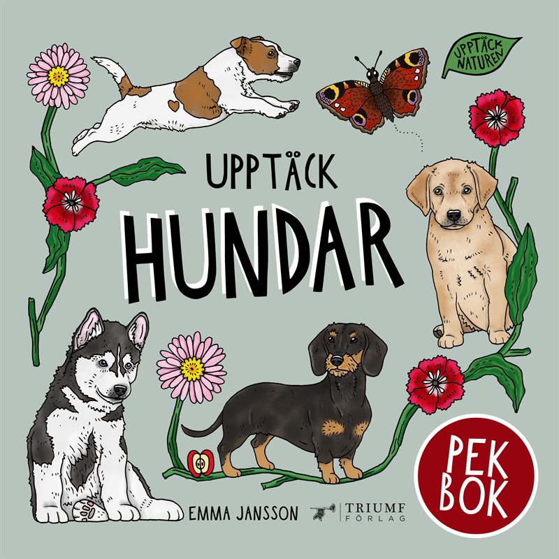 Upptäck Hundar